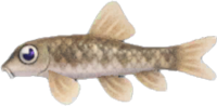 Artwork of Nibble Fish