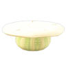 shell table