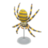 spider model