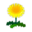 Yellow Dandelions PC Icon.png