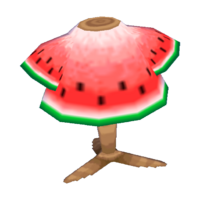 Watermelon shirt