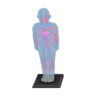 Clear Model CF Model.png