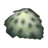 porceletta