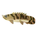 Saddled Bichir PC Icon.png