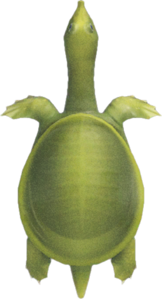 In-game image of soft-shelled turtle