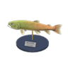 stringfish model