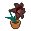 Black-Lily Plant NH Inv Icon.png
