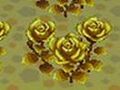 CF Golden Roses.jpg