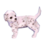 Dalmatian Model