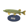 pike model
