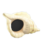 shell speaker