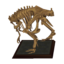 T. rex torso