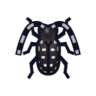 Citrus Long-Horned Beetle NH Icon.png