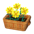 Yellow Cosmos NL Model.png
