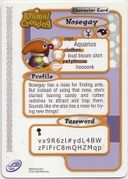 Animal Crossing-e 4-271 (Nosegay - Back).jpg