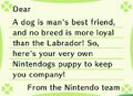 CF Letter Nintendo Labrador Model.jpg