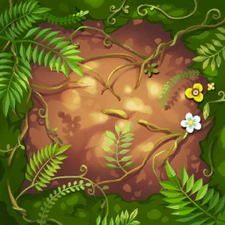 Texture of jungle floor