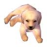Labrador ornament