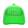 Mesh Cap (Green) NH Icon.png