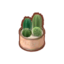 Mini-Cactus Planter PC Icon.png