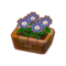 Potted Blue Dahlias PC Icon.png