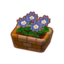 Potted Blue Dahlias PC Icon.png