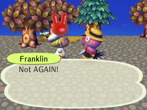 CF Franklin Not Again.jpg