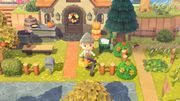 NH Pumpkin Decorations 1 Fall Update.jpg