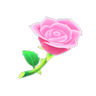 pink roses