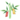 Red Wishing Bamboo PC Icon.png