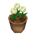 White Tulips WW Model.png