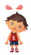 NH Player Heartbreak.png