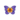 Plum Ripplewing PC Icon.png