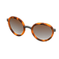 Round Tinted Shades (Brown) NH Storage Icon.png