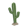 desert cactus