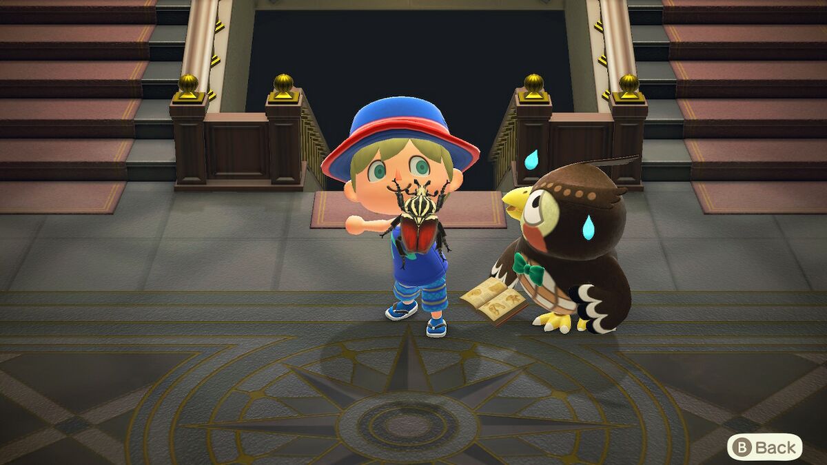 NH Blathers Bug Distress.jpg