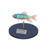 pale chub model