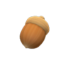 acorn