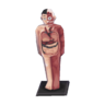 Anatomical Model CF Model.png