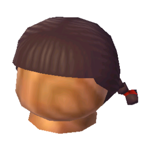 Braided Wig NL Model.png