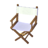director's chair