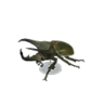 horned atlas model