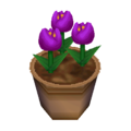 Purple Tulips WW Model.png