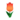 Red Spring Tulip PC Icon.png