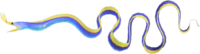 Artwork of Ribbon eel
