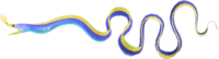 Artwork of Ribbon Eel