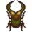 cyclommatus stag