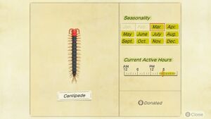 NH Critterpedia Centipede Southern Hemisphere.jpg