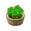 Potted Green Zinnias PC Icon.png