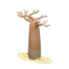 Baobab